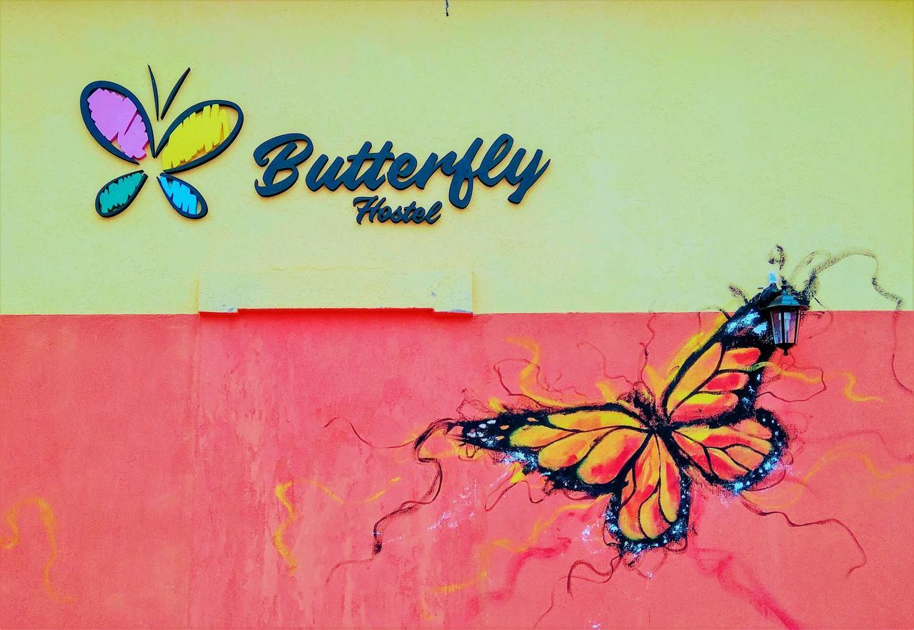Butterfly Hostel Porto Iguaçu Exterior foto