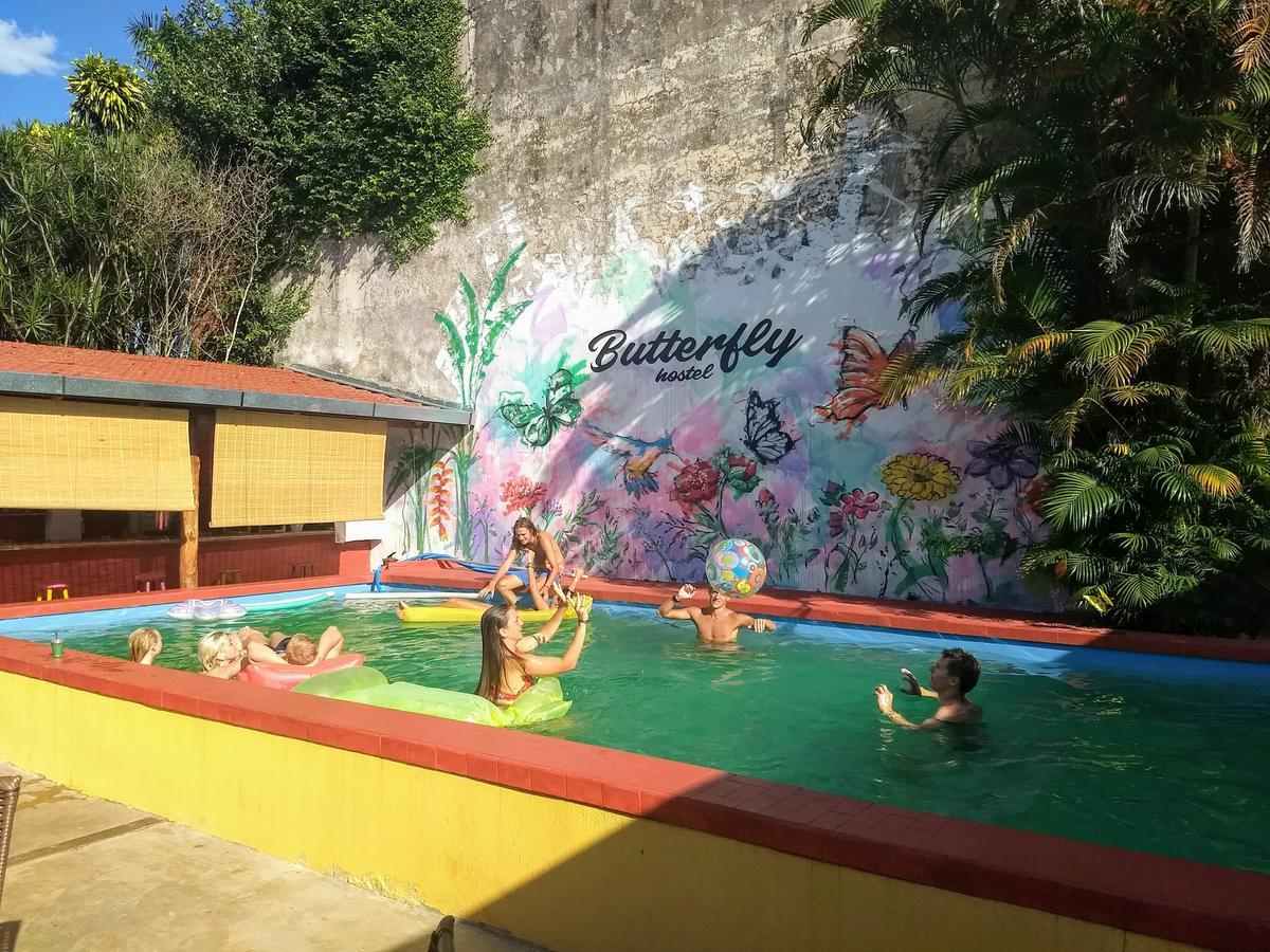 Butterfly Hostel Porto Iguaçu Exterior foto